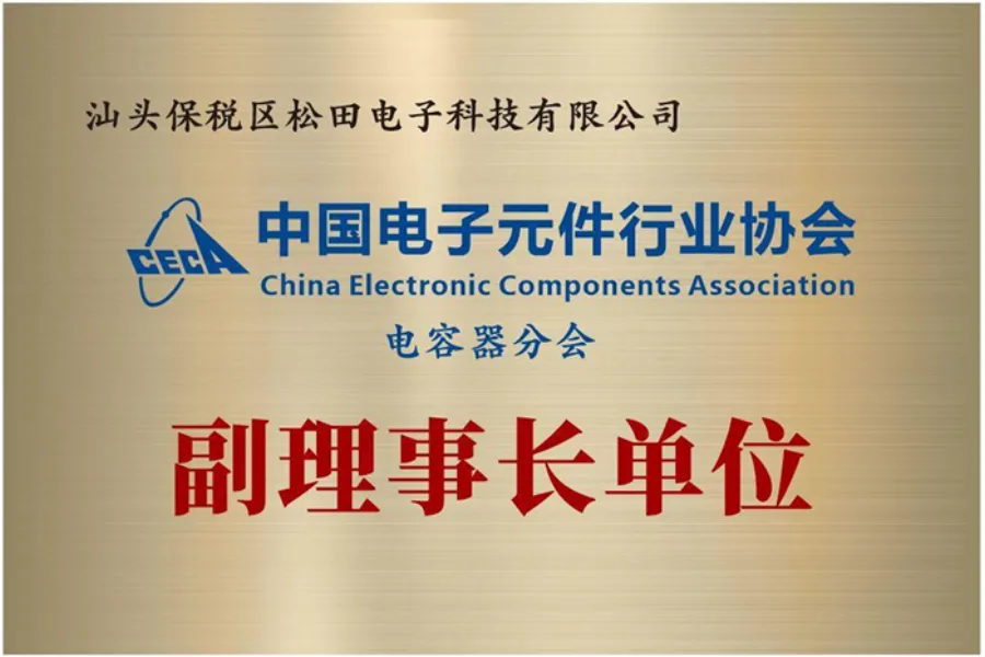 Vice-Chairman Member, CECA