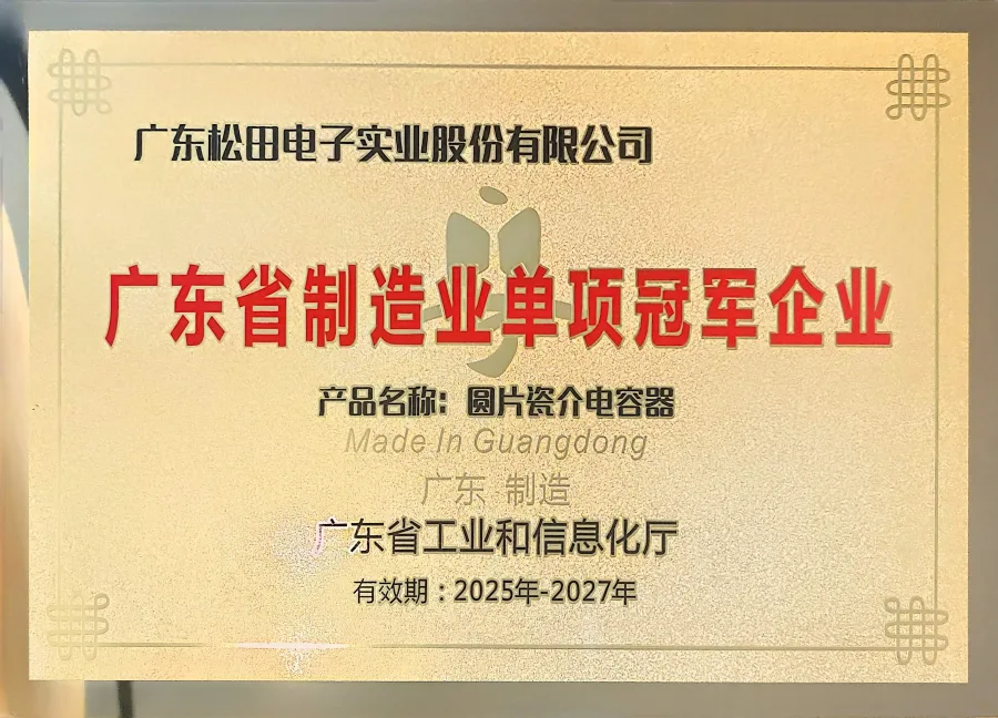 Guangdong Manufacturing Single-item Champion