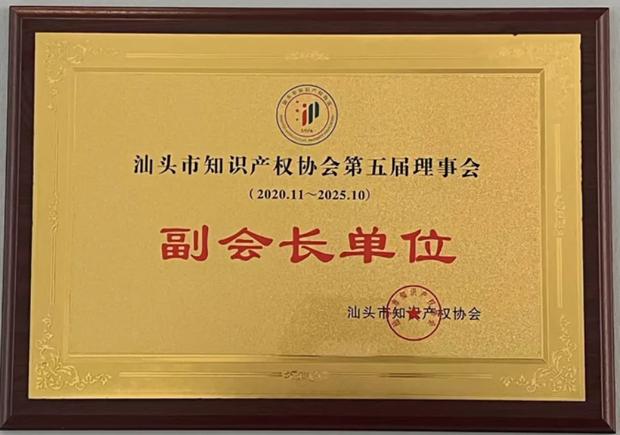 Vice-Chair Member, Shantou IP Association